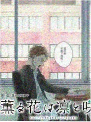 综艺节目